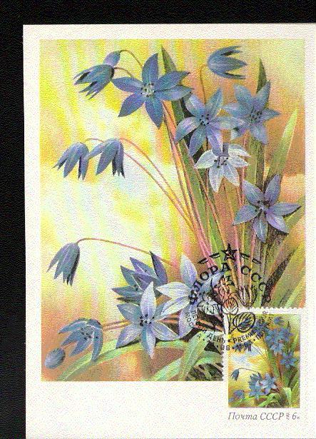 RUSSIE CARTE MAXIMUM NUM.YVERT 5002 FLEURS PROLESKA - Tarjetas Máxima