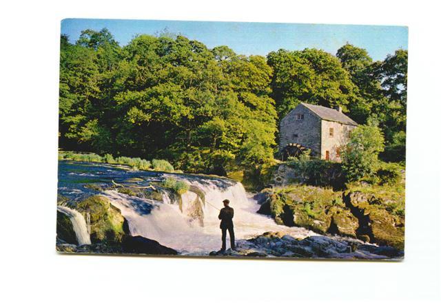 Cpm Anglaise Moulin De Cenarth - Moulins à Eau