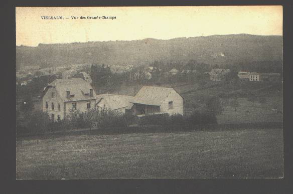 699 - Vielsalm Vue Des Grands-champs - Vielsalm