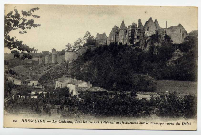 Réf 105  - BRESSUIRES - Le Château Dont Les Ruines S´élèvent Majestueuses Sur Le Sauvage Ravin Du DOLOT (1918) - Bressuire