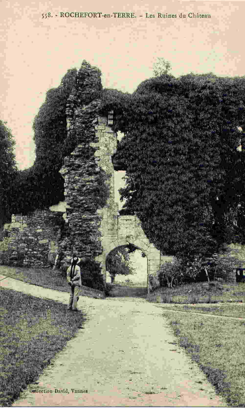 558 - ROCHEFORT-en-TERRE - Les Ruines Du Chateau - Rochefort En Terre