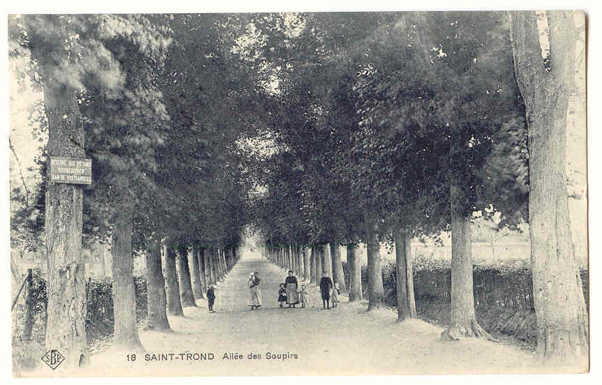 5670 - St-TROND - Allée Des Soupirs "SBP" - Sint-Truiden