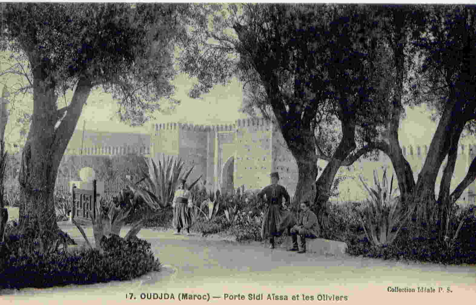 * 17 - Oudjda - Porte Sidi Aissa Et Les Oliviers - Other & Unclassified