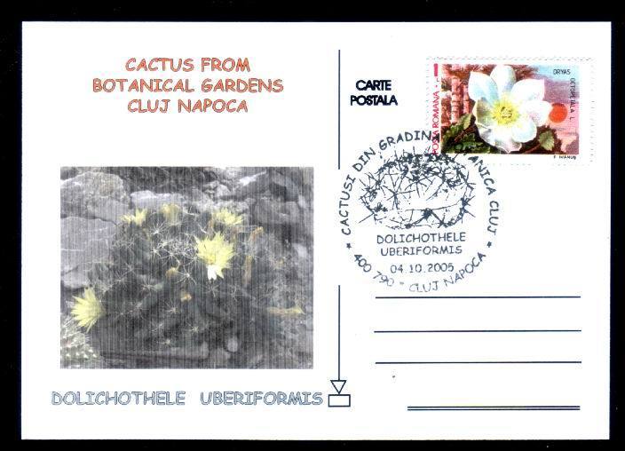 Romania Cactus From Botanical Gardens Of Cluj-Napoca ,post Card New 2005. - Cactussen