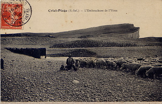 Criel Embouchure De L Yeres 1910 - Criel Sur Mer