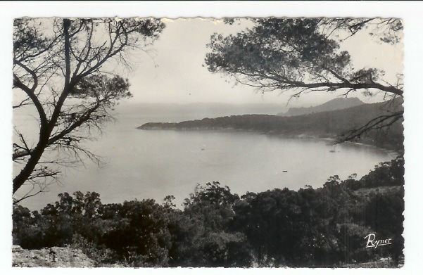 Porquerolles: Vue à Travers Les Pins (05-5913) - Porquerolles