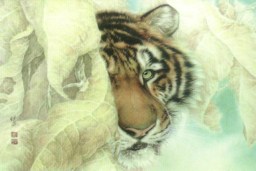 Tigre Du Sud De La Chine (South China Tiger) - C - Tigres