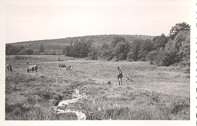 23 - CREUSE - ROYERE - AGRICULTURE - SCENE De PATURAGE - PAYSAN Avec Sa FAULX - Royere