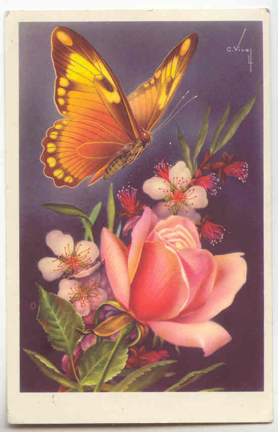 5877 - Papillon - Rose - Schmetterlinge