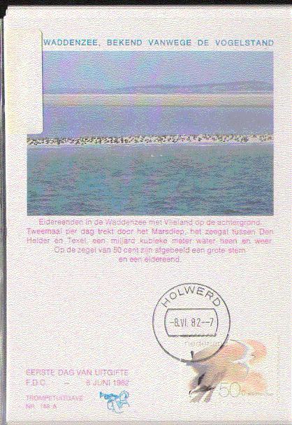 PAYS BAS CARTE MAXIMUM NUM.YVERT 1179 STERNE OISEAUX  PROTECTION DE LA NATURE - Cartes-Maximum (CM)