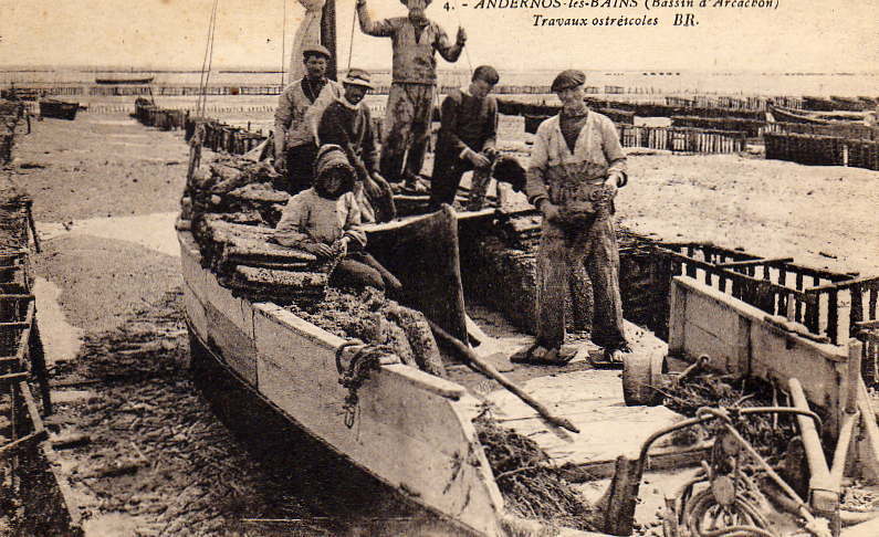 Carte Postale De Andernos -- Travaux Ostréicoles - Andernos-les-Bains