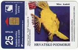 PAGURISTES EREMITA ( Croazia Rare I Serie ) Crab - Crabe - Krabbe - Cangrejo - Granchio* Fish Poisson - RAK OKATI SAMAC - Kroatië