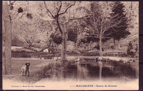 VAUCLUSE - Malaucene - Source Du Grozeau - Malaucene