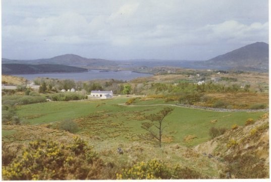 Connemara National Park - Sea View From The Park - Antrim