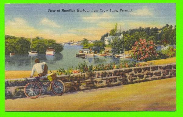 BERMUDES - VUE SUR LE PORT DE HAMILTON - ANIMÉE - - Bermuda