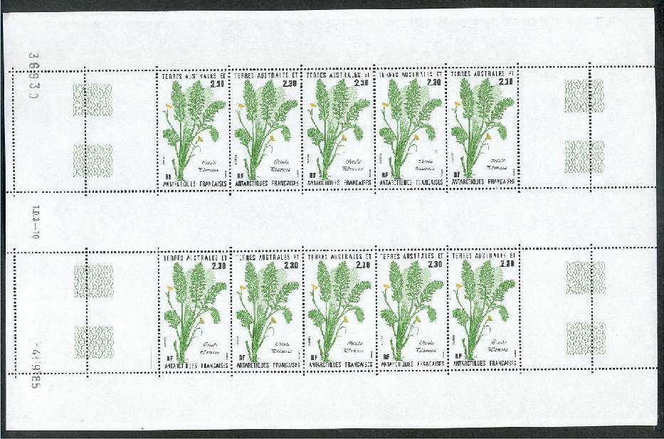 FAST PLANTS 1985 IN FULL SHEETS OF 10 NEVER HINGED **! - Nuovi