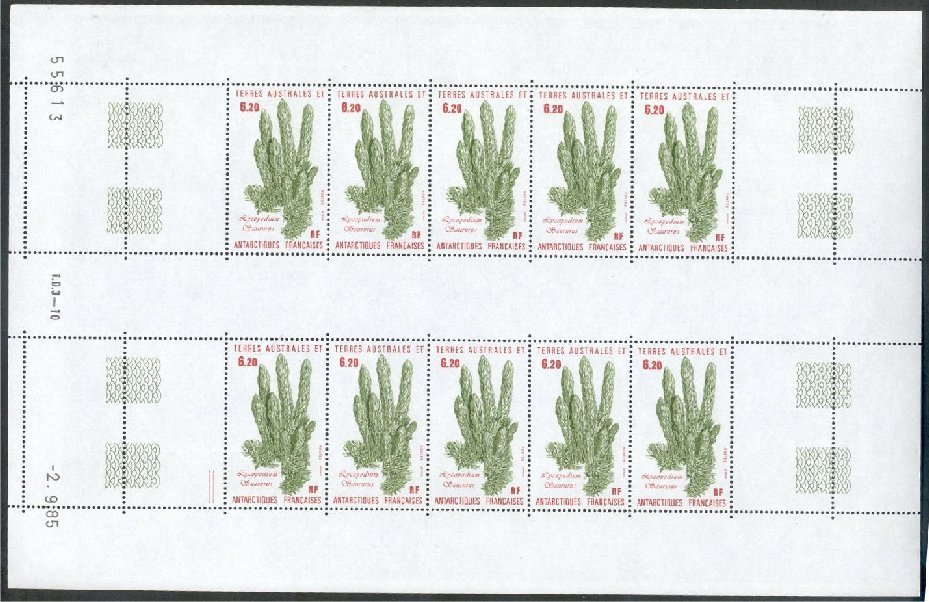 FAST PLANTS 1985 IN FULL SHEETS OF 10 NEVER HINGED **! - Neufs
