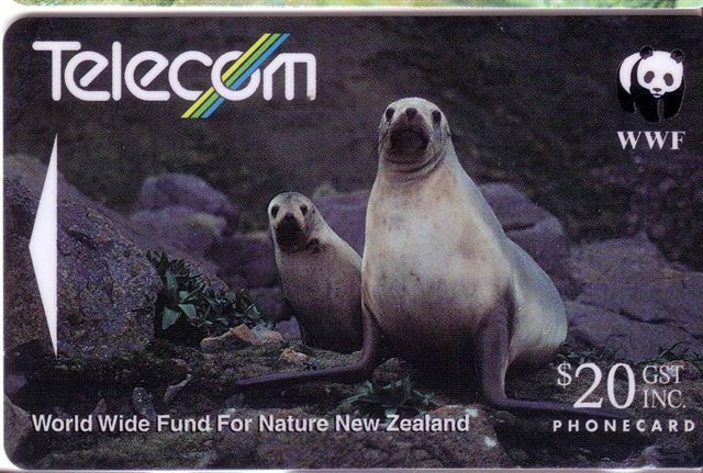 New Zealand - Fauna - Faune - Animals - Animaux - Animal - Undersea - Underwater - SEA LION  ( WWF  ) - Nuova Zelanda