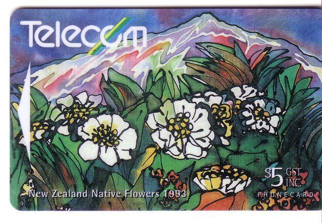 New Zealand - Flora ( Flore ) – Fleur ( Fleurs ) - Flowers – Blume (blumen) – Flor – Struzzo - Mount Cook Lily - New Zealand