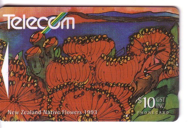 New Zealand - Flora ( Flore ) – Fleur ( Fleurs ) - Flowers – Blume (blumen) – Flor – Struzzo - Pohutukawa - Fleurs