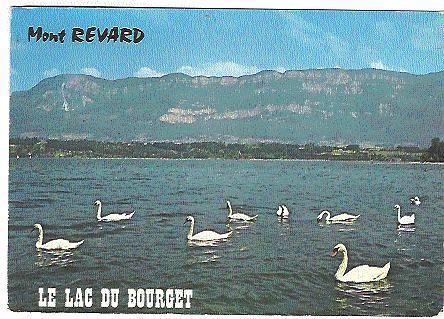 Le LAC Du BOURGET , Illustré De CYGNES Et Le Mont Revard ;TB - Le Bourget Du Lac