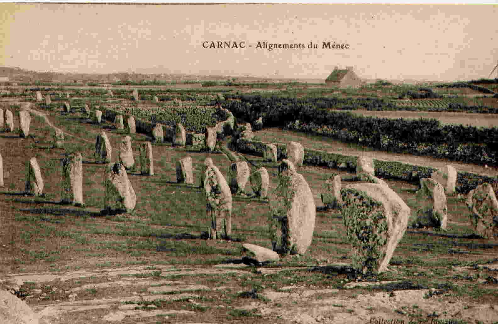 CARNAC - Alignements Du Menec - Carnac