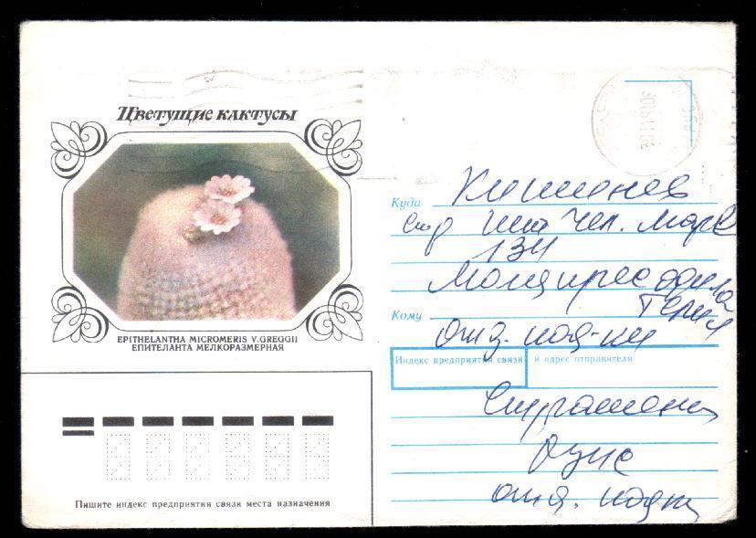 Ukraina 1991 Cover Circulated With Cactusses. - Cactusses