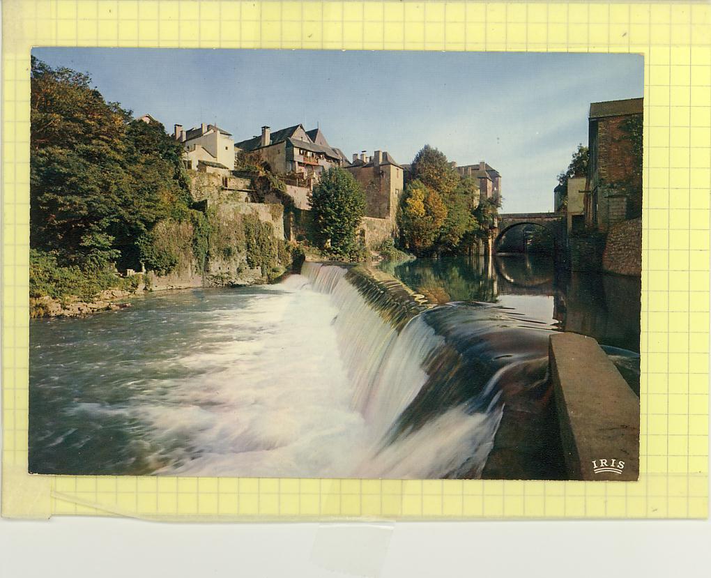 64 - Oloron - Le Gave - CPM Couleur 1960-70 - Ed Cap N° 1581 - Oloron Sainte Marie