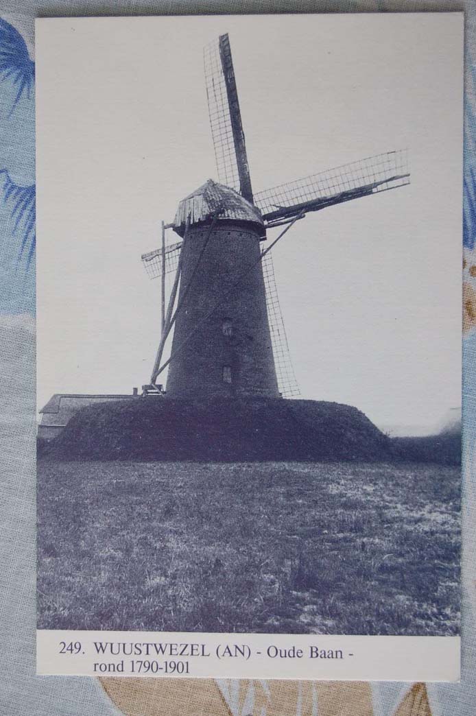 Wuustwezel   Moulin  Publié Vers 1981 - Wuustwezel