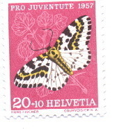 YT N°599 Neuf ** - Unused Stamps