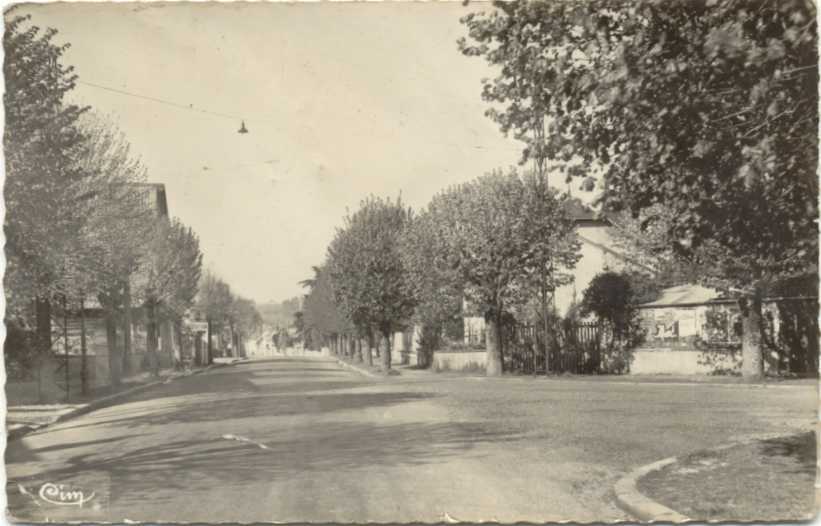 CPSM MONTOIRE Sur Le Loir Avenue Gambetta (Oblitération DAGUIN 1952) - Montoire-sur-le-Loir
