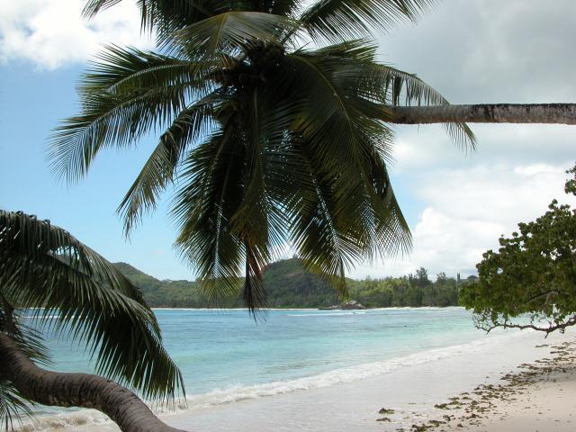 FOTO CD: SEYCHELLEN-SEYCHELLES/land/beaches Etc. - Objets