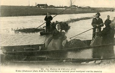 85 - Au Marais De CHALLANS - Oles ( Bateaux Plats Dont Les Maraichins Se Servent Pour Naviguer Sur Les Marais ) - Challans