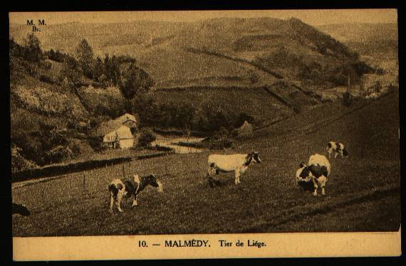 1085 -Malmédy   Tier De Liége - Malmedy