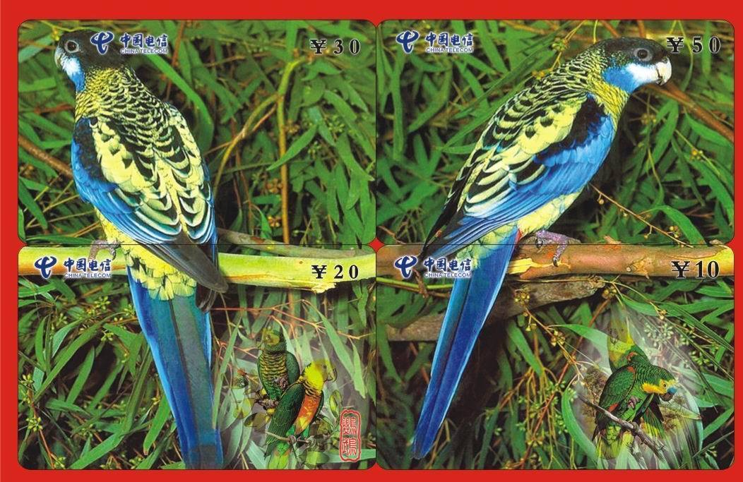 PARROT Nice Chinese PUZZLE SET OF 4. CARDS With Parrots * Perroquet Papagei Pappagallo Loro Ara Papagaio Bird Oiseau - Pappagalli