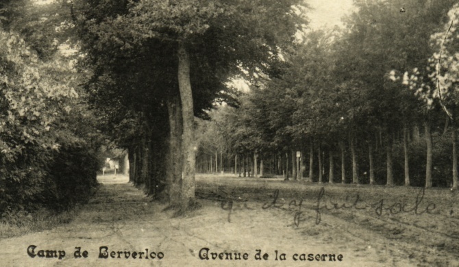 Camp De Beverloo -Avenue De La Casenre - Leopoldsburg (Kamp Van Beverloo)