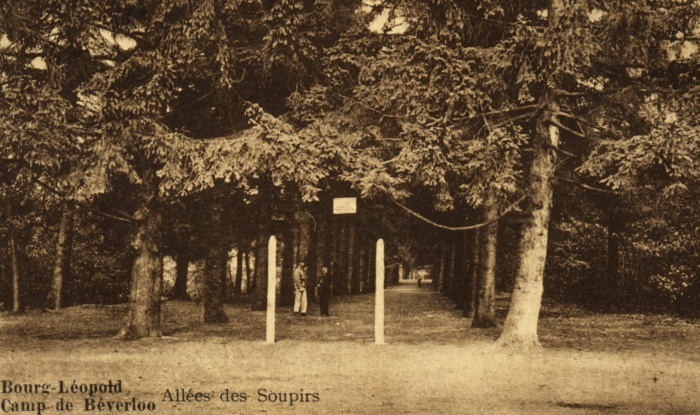 Camp De Beverloo -Allées Des Soupirs - Leopoldsburg (Kamp Van Beverloo)