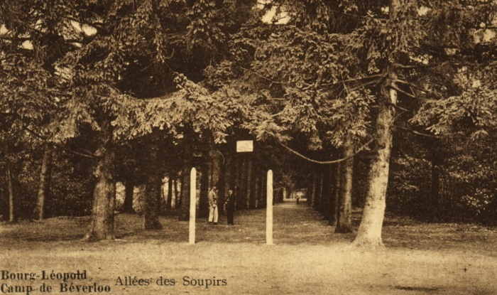 Camp De Beverloo -Allées Des Soupirs - Leopoldsburg (Camp De Beverloo)