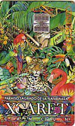 MEXIQUE PERROQUET PANTHERE PAPILLON SUPERBE CARTE  RARE - Jungle