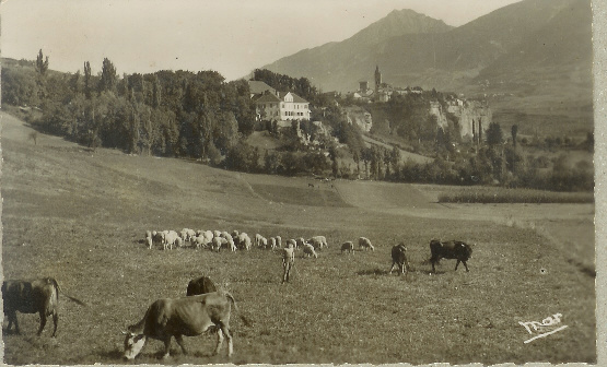 CPSM DENTELEE FORMAT CPA VUE GENERALE ET CHATEAU DE LA ROBEYRE - Embrun