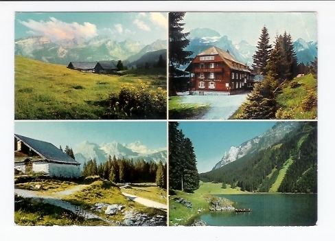 Lochgatter Mit Kapf, Gamsberg Und Sichelkamm, Oelberg, Kurhaus, Voralpsee (06-765) - Gams