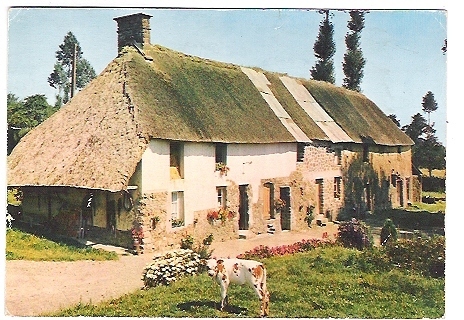 Chaumière Normande , Illustrée D'une Jeune Vache ;B/TB - Bauernhöfe