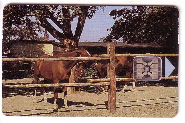 Animals - Animaux - Horse - Caballo- Cheval - Cavallo - Pferd - Horses - Czech Rep. ( Tcheque ) - See Scan For Condition - Chevaux