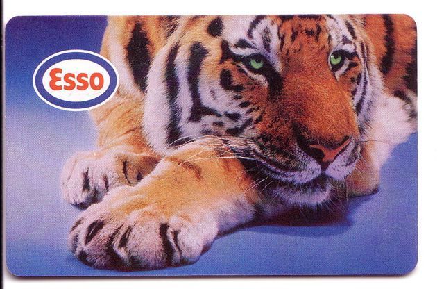 Tiger – Tigre – Tigresse – Tigers -  Jungle - Fauna – Faune – Animaux - Czech R. - Tchequie Limited Card ESSO - Jungle