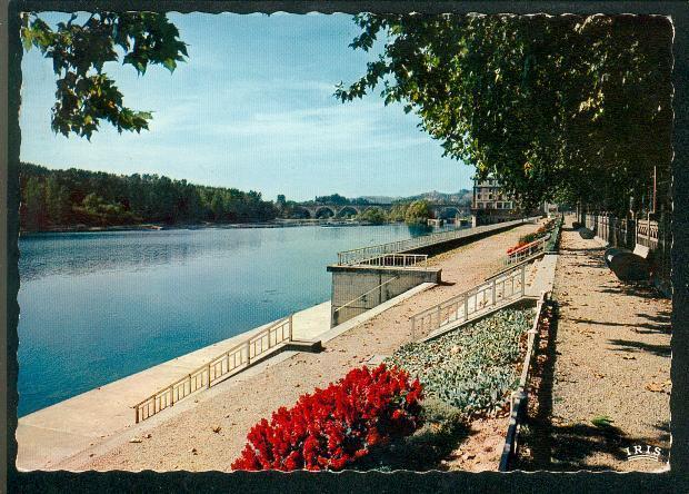 CPSM - Moissac - Les Promenades - Moissac