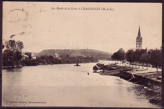 MAINE ET LOIRE - Les Bords De La Loire à Chalonnes - Chalonnes Sur Loire