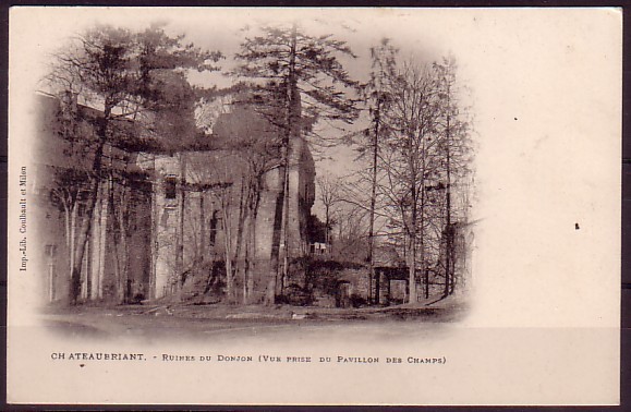 LOIRE ATLANTIQUE - Chateaubriant - Ruines Du Donjon (vue Prise Du Pavillon Des Champs) - Châteaubriant