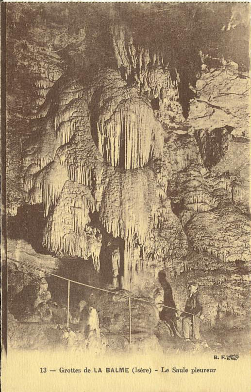Grotte De La Balme 13 Le Saule Pleureur - La Balme-les-Grottes