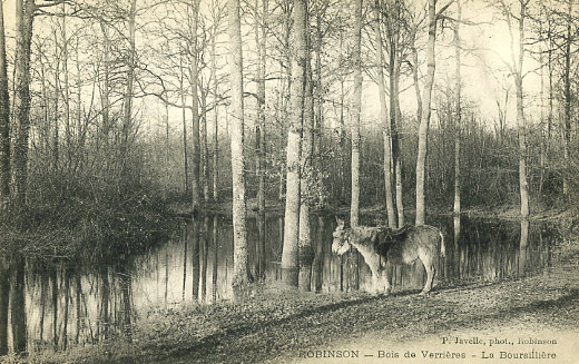 92 - HAUT De SEINE - LE PLESSIS ROBINSON - BOIS De VERRIERES - LA BOURSILLIERE - AGRICULTURE - ASS - EZEL - ANE - 1910s - Le Plessis Robinson