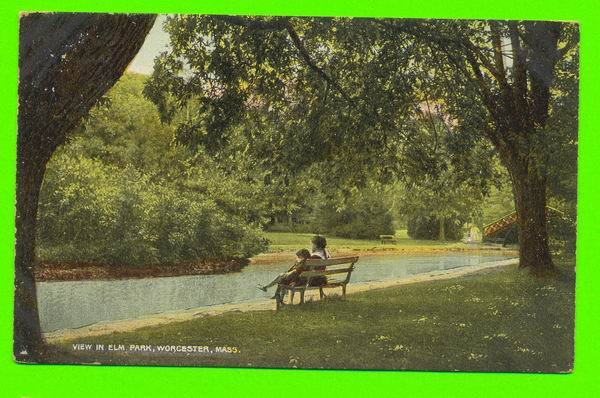 WORCESTER, MA - VIEW OF ELM PARK - ANIMATED WITH KIDS - TRAVEL IN 1911 - - Worcester